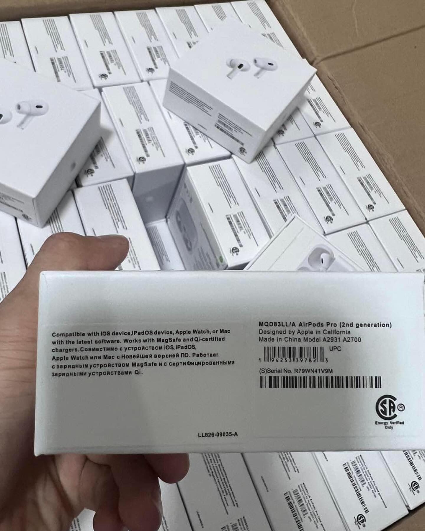 WhatsApp-Image-2025-09-19-at-10.43.36-AM