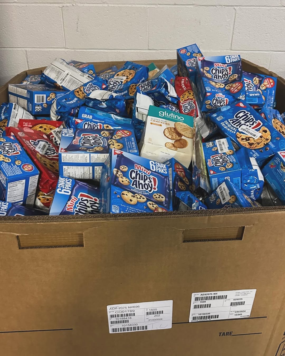 SaveClip.App_433283258_1275072620115962_2654541289981347702_n