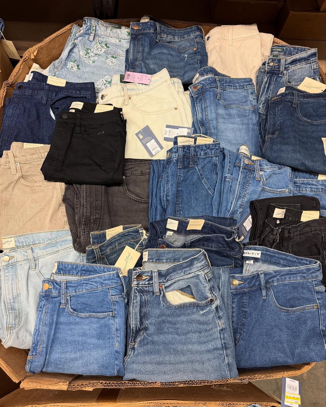 SaveClip.App_497618883_18281119645252630_753538440331648338_n